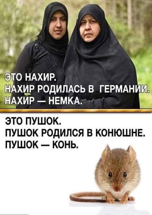 Русский Националист