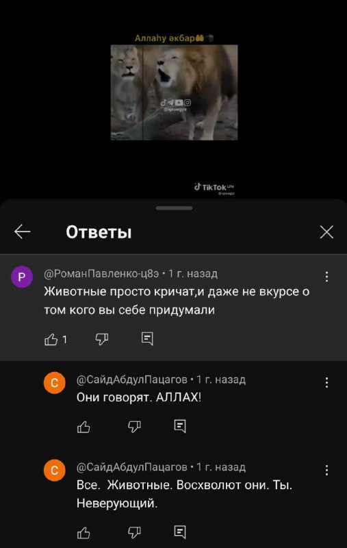 Мигранты — всё как есть