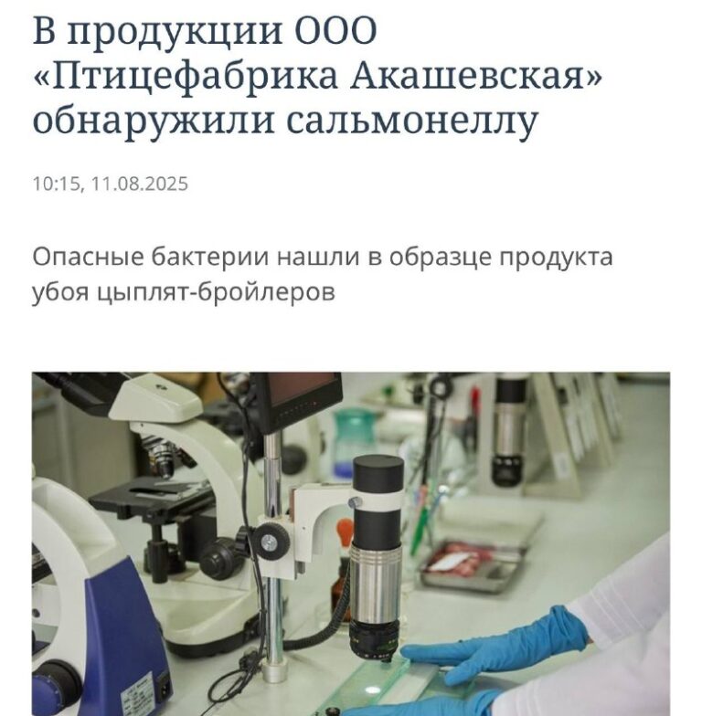 Русский Мир