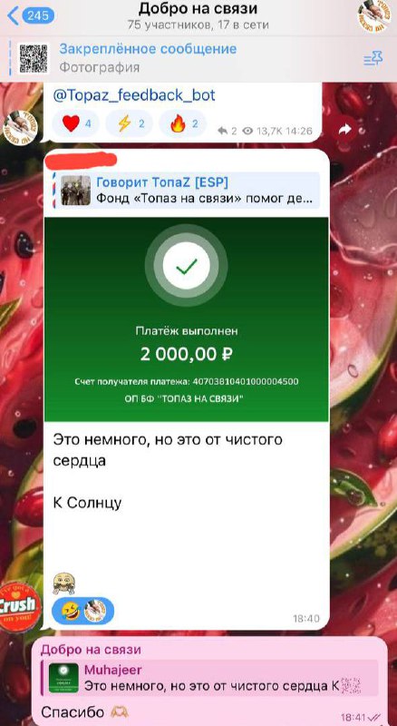 Говорит ТопаZ [ESP]